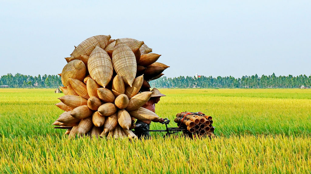 Vietnam Tour 12 Days: Vietnam Itinerary 2 Weeks At Best Price