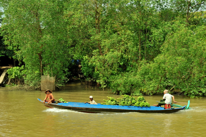 Vietnam Mekong Delta - Boat trip