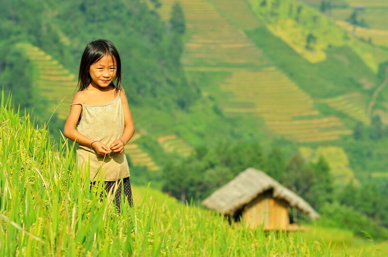 Mu Cang Chai Terraced Rice Fields, Vietnam