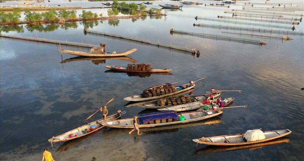 Ngu My Thanh village - New place to visit at Tam Giang lagoon, Hue
