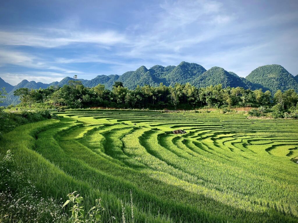 Pu Luong Natural Reserve - A must-visit in Vietnam tours in 2024