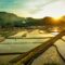 When Is the Best Time to Visit Vietnam? Complete Climate & Travel Guide