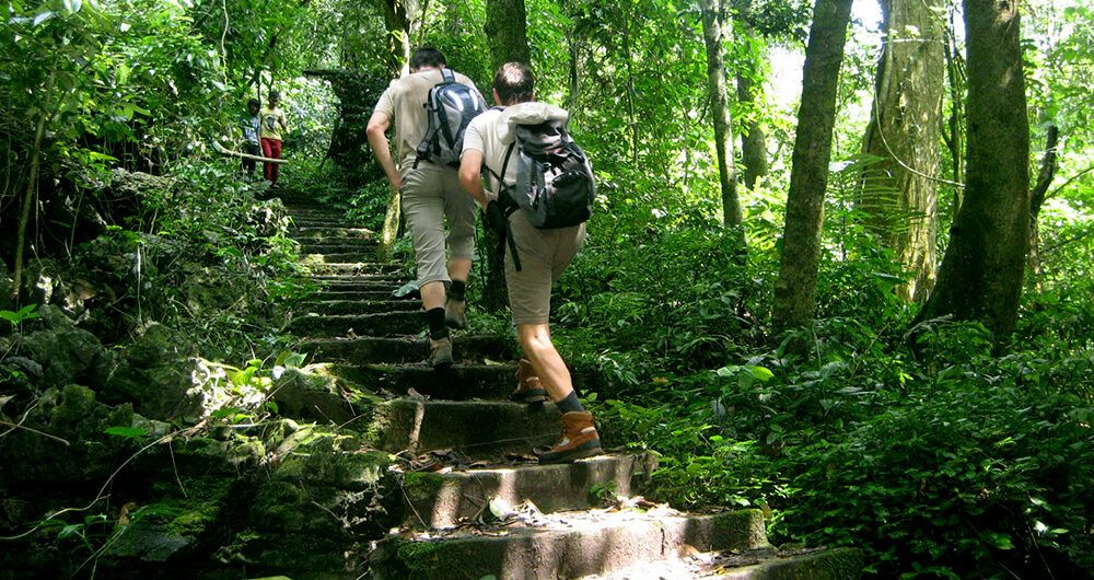 Cuc Phuong National Park : Hiking tour through the park