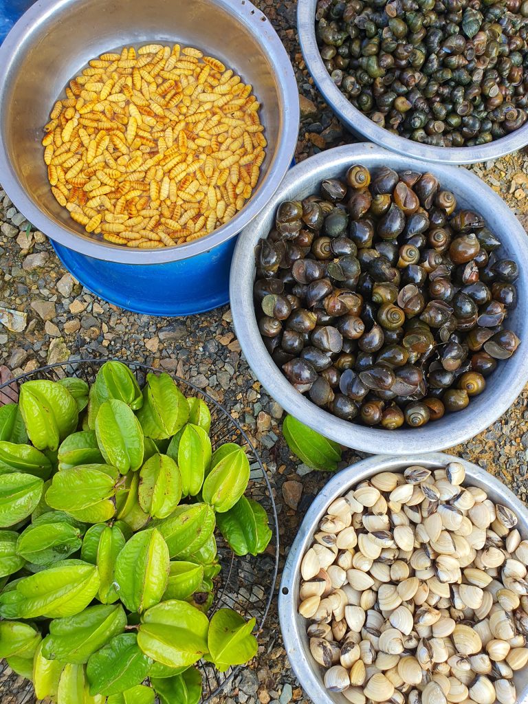 Nua Market in the Suburbs of Hanoi, Vietnam