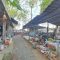 Nua Market in the Suburbs of Hanoi: A Traditional Northern Delta Marketplace of Vietnam