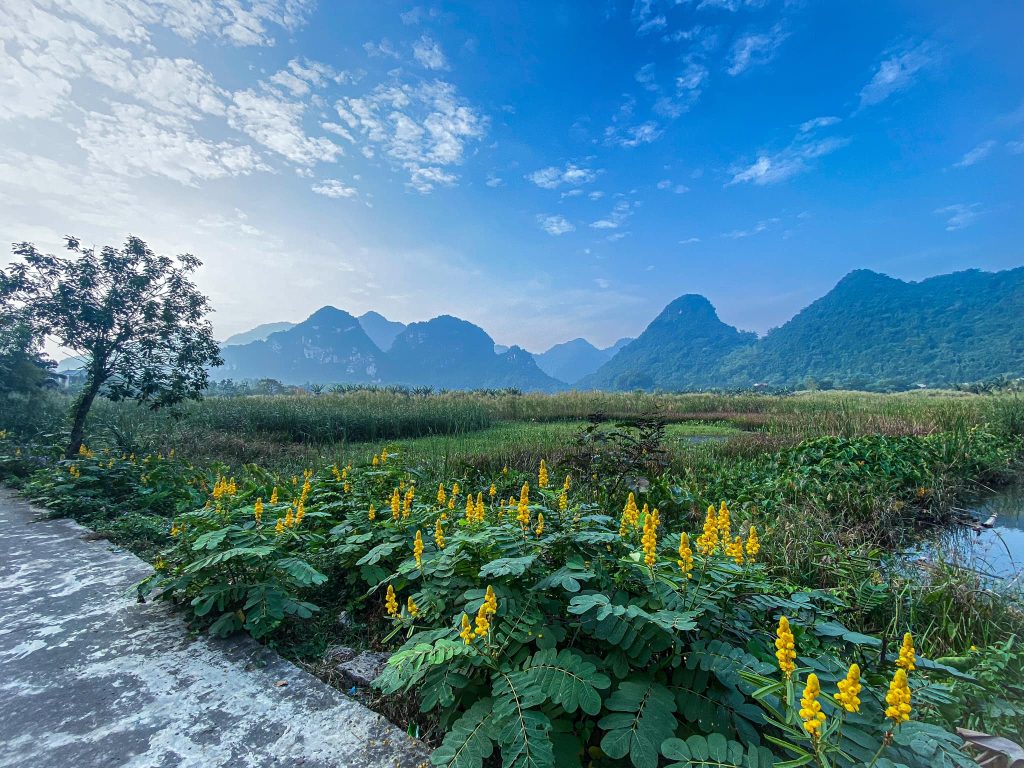 Discover the best time to visit Vietnam - Landscapes of Ninh Binh (Thuy Troc Le)