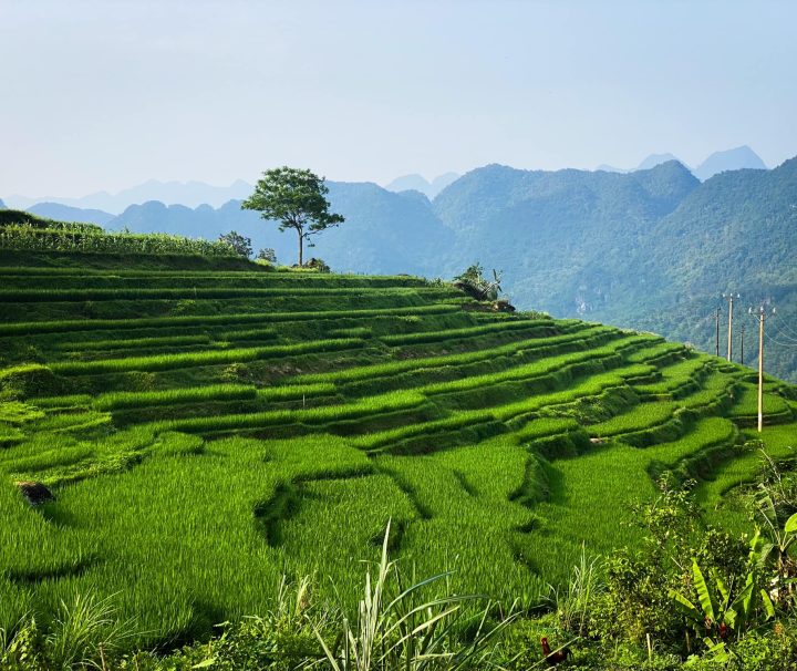 3 Weeks Vietnam Itinerary - Pu Luong (Thuy Troc Le)
