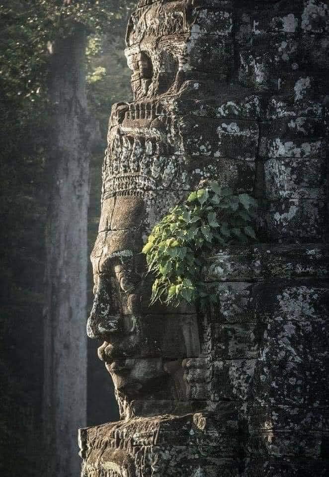 Cambodia UNESCO Sites - Bayon Temple (Phann Sotha)