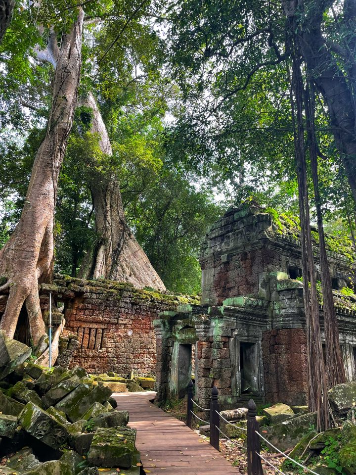 Cambodia UNESCO Sites - Ta Prohm Temple Siem Reap