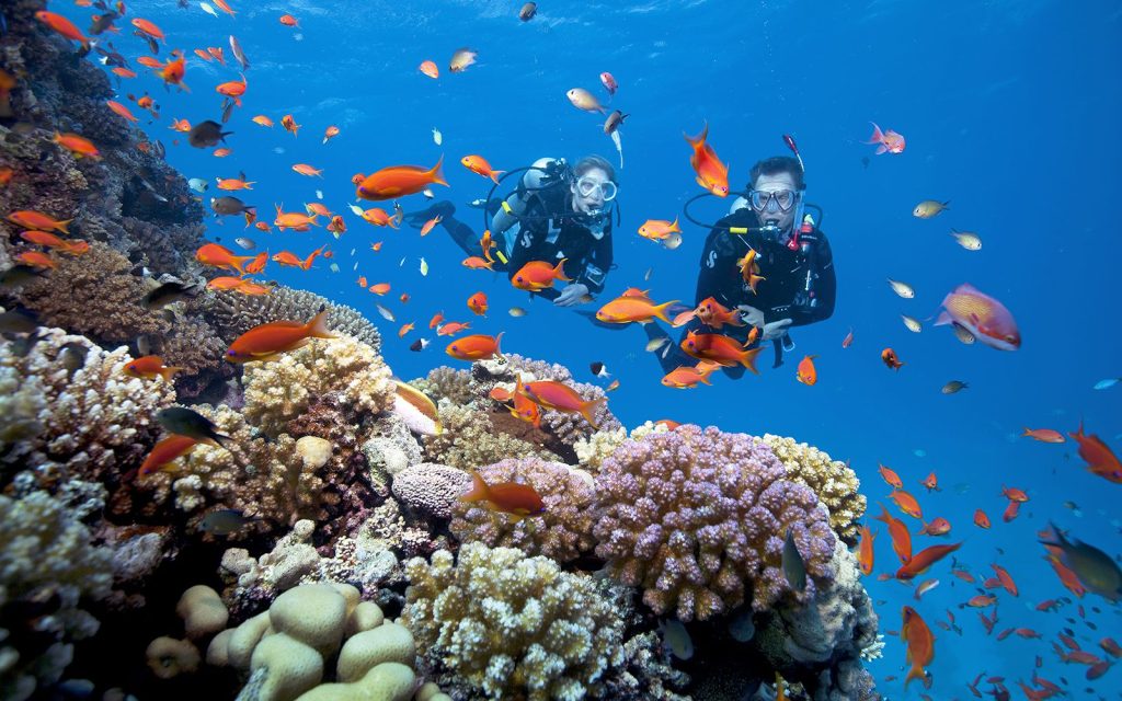 Diving at Phu Quoc Island