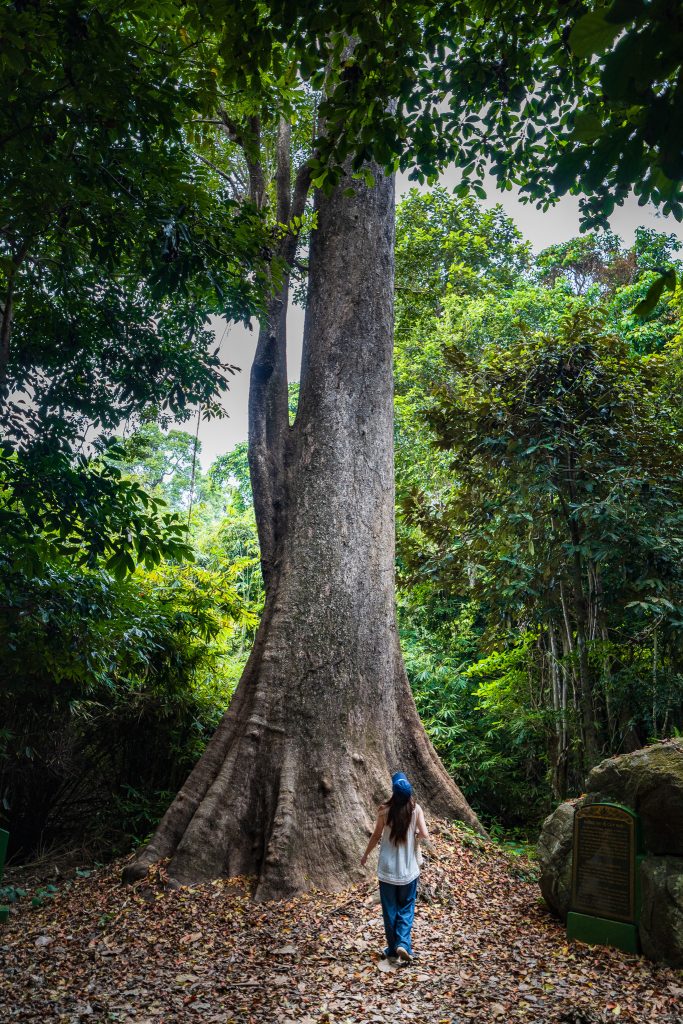 Explore Con Dao National Park