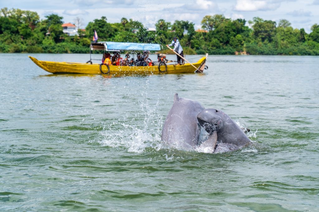 Tour to wacht Irrawaddy Dolphins (JP Klovstad)