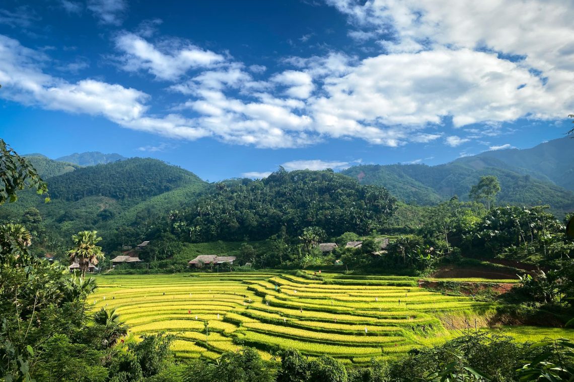Zero-Waste Travel in Vietnam 2026 - The Rice Fields of Pu Luong Vietnam in June (Thuy Troc Le)