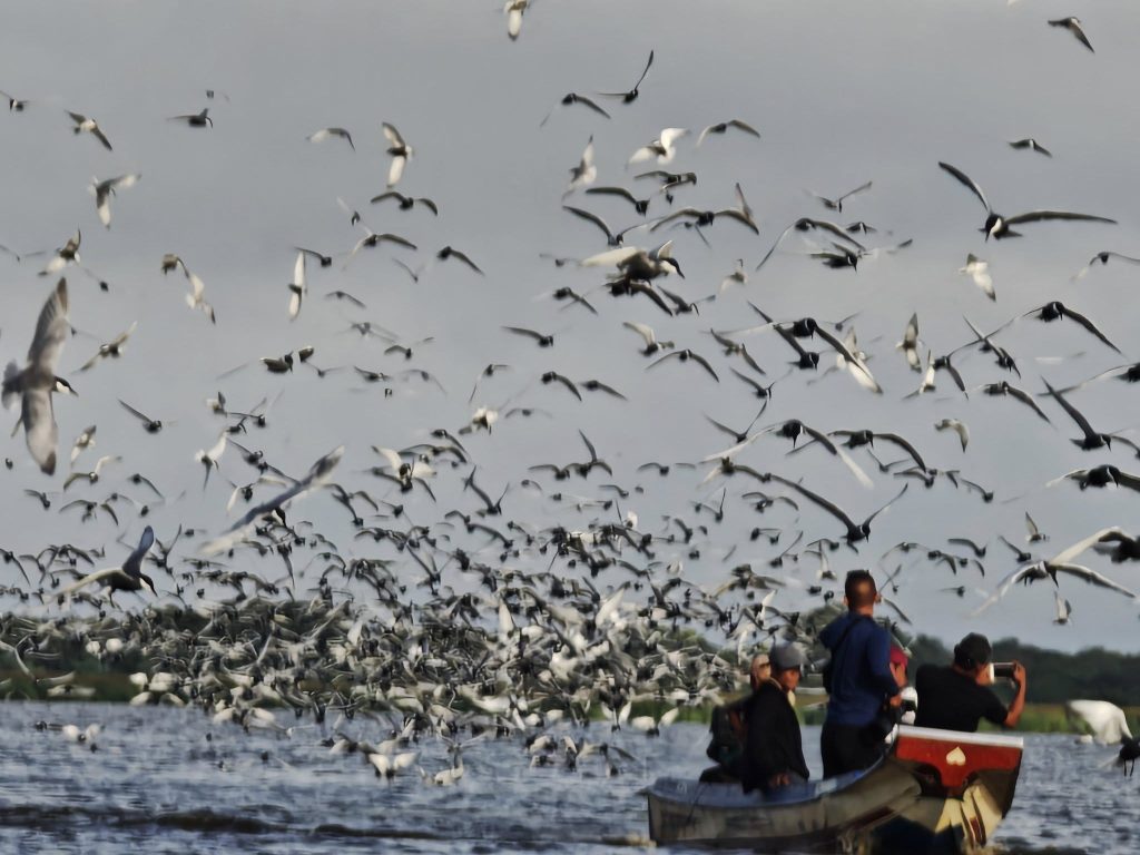 Tonle Sap Biosphere Reserve (Yi Sam Ang)