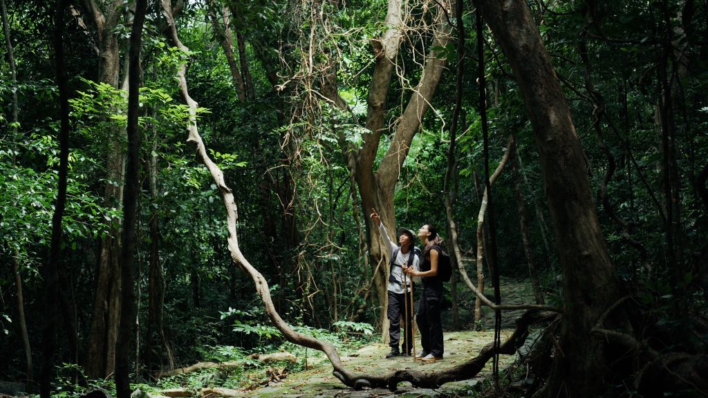 Trekking to Con Dao National Park