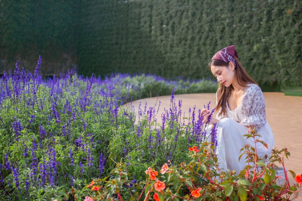 Da Lat Vietnam Travel Guide - Van Thanh Flower Village