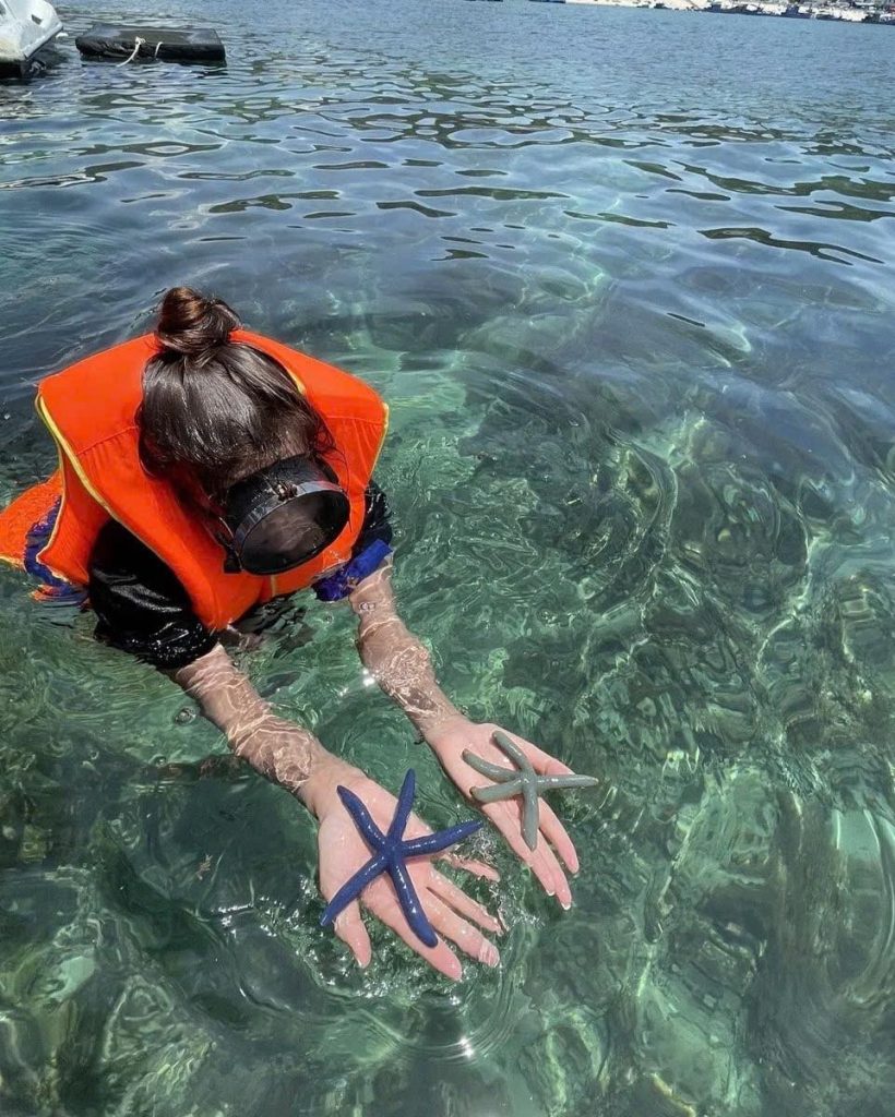 Quy Nhon Travel Guide - Snorkling