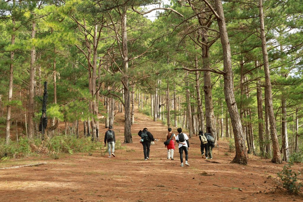 Trekking in Langbiang Mountain (Duc Hieu)